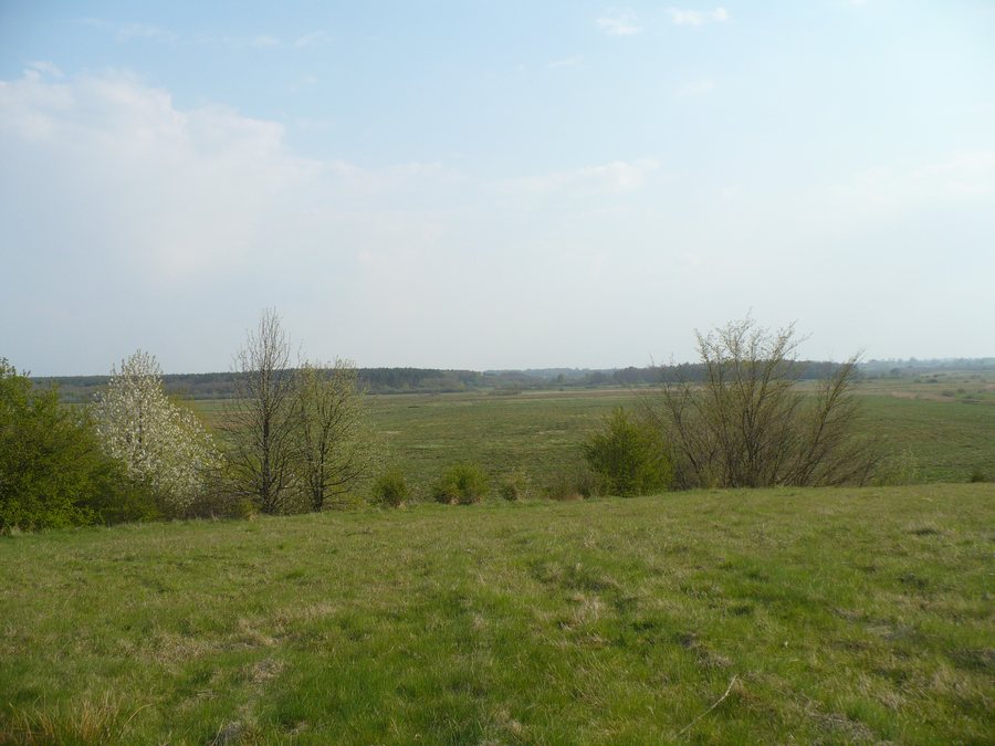 File:Stary Borek - wzgórze (widok na Błotnicę i Przećmino) - panoramio.jpg