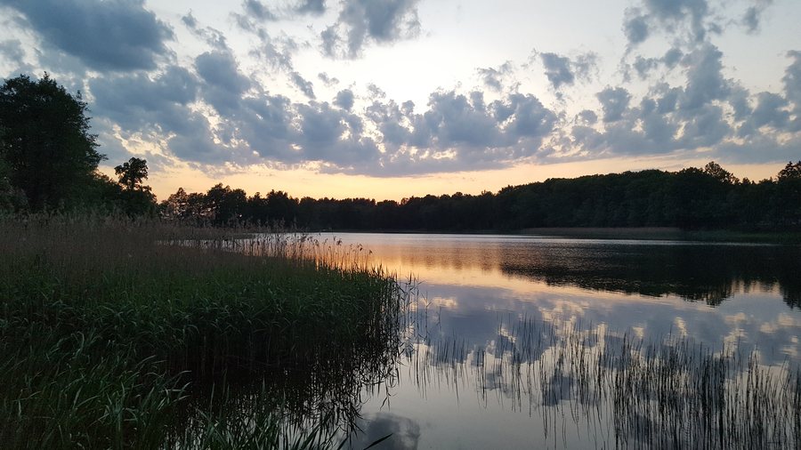 File:Jezioro przy parku pałacowym w Niedalinie.jpg