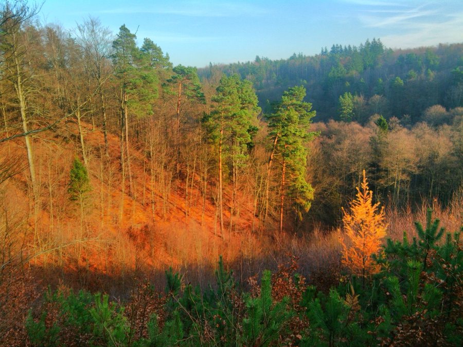 File:Zbychowo, punkt widokowy nad doliną Zagórzanki - panoramio (1).jpg