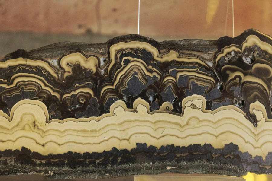 File:Sphalerite (fibrous blende) from Olkusz.jpg