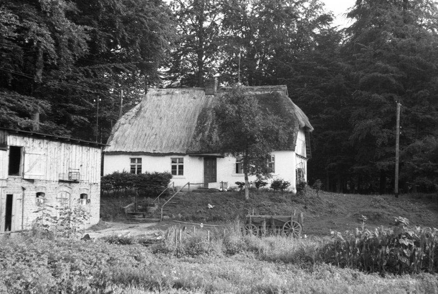 Dom szachulcowy o dachu przyczółkowo-naczółkowym krytym strzechą, tynkowany - Mścice - 003619n.jpg