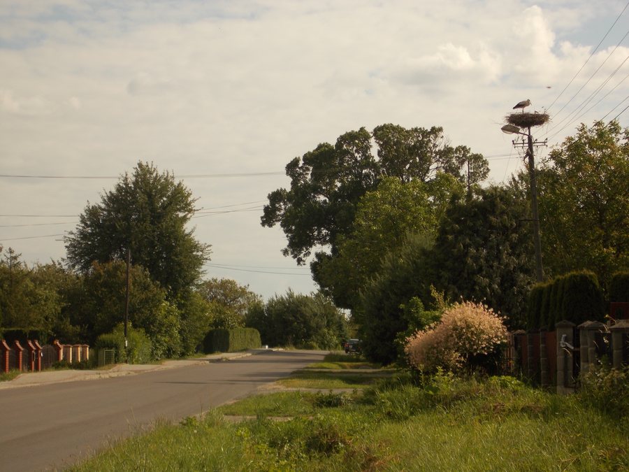 File:Bocianie gniazdo Dąbków 2.JPG