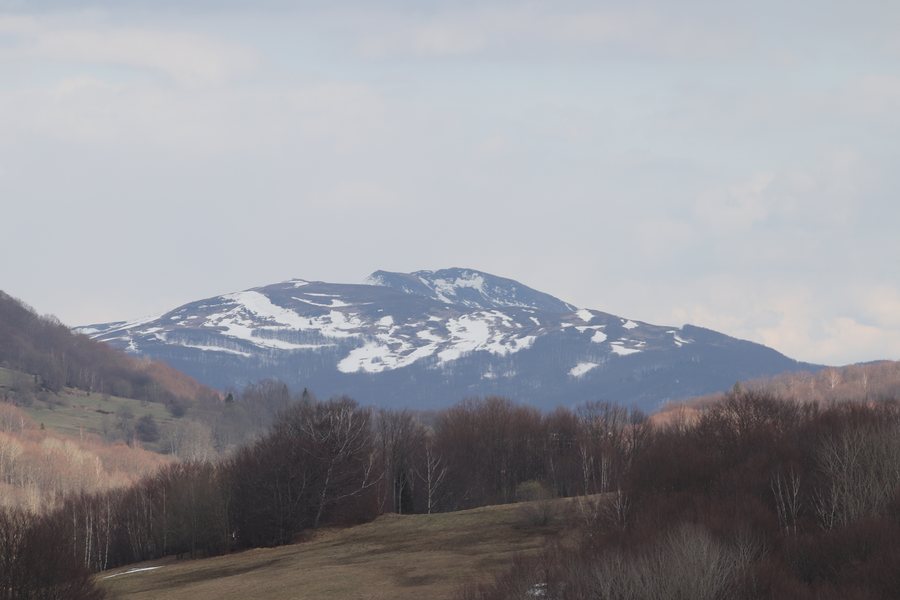 File:Brzegi Grn Tarnica.jpg