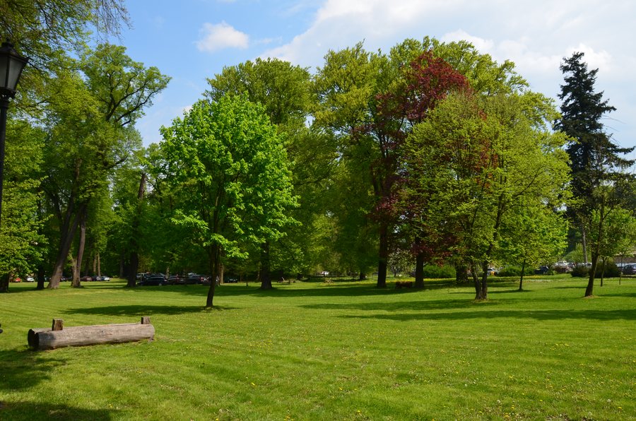 Kliczków - park DSC 0004.JPG