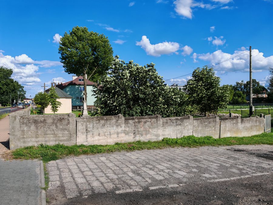 Zwoleń Cmentarz choleryczny 01