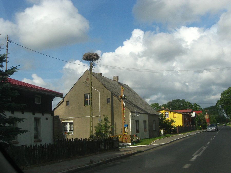 File:Stork003 boguslawiec.JPG