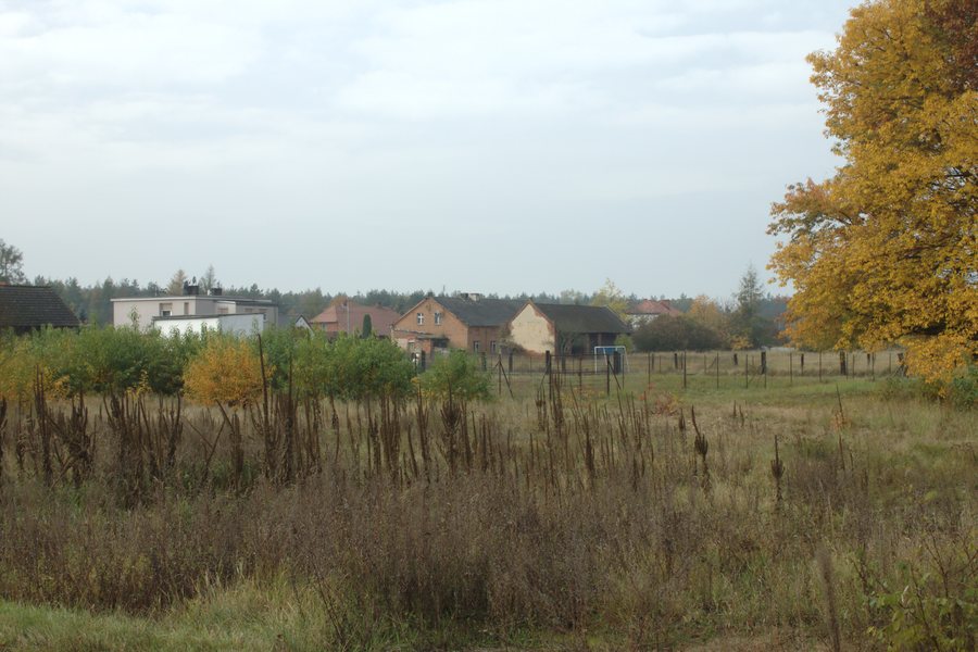 File:Grabówka, domy.jpg