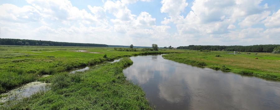 File:Podlaskie - Suraż - Doktorce - S - Droga - Most - Narew.JPG