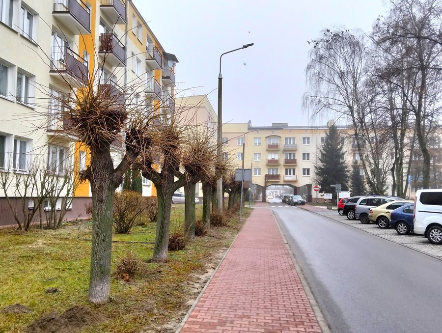 File:MOs810, WG 51 2024 ZachLub Poniatowa city view (10).jpg