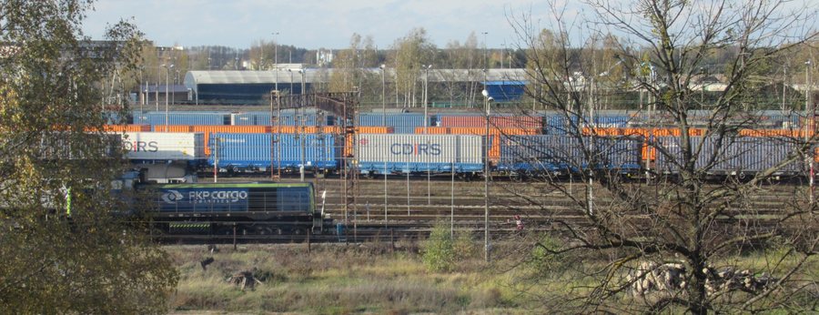 File:Małaszewicze-19VZLYLI.jpg