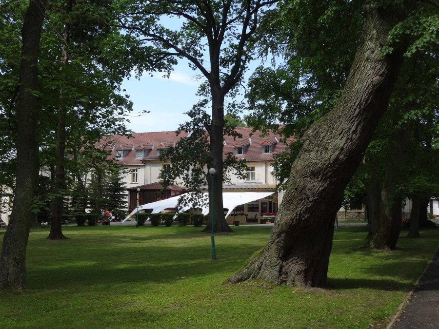 File:Trzęsacz park, XVIII nr 658124 (9).JPG