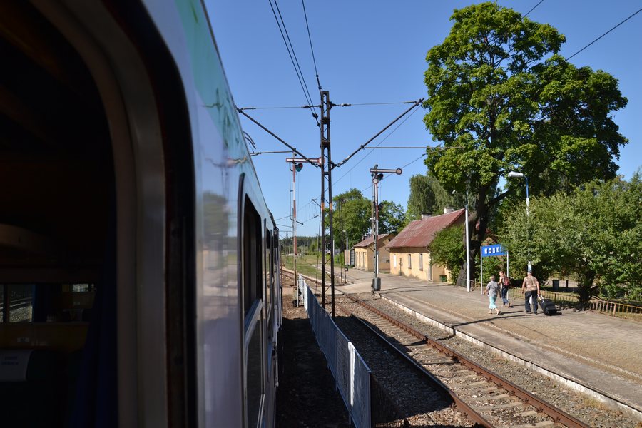File:WK15 Mońki (2) Lichen99.jpg