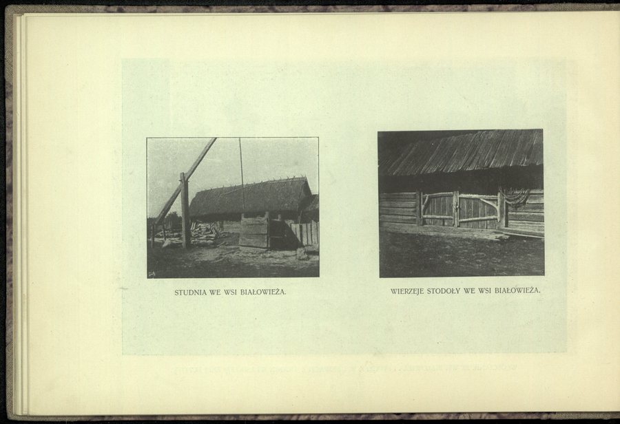 File:Bialowieza w albumie 1903 (72991765).jpg