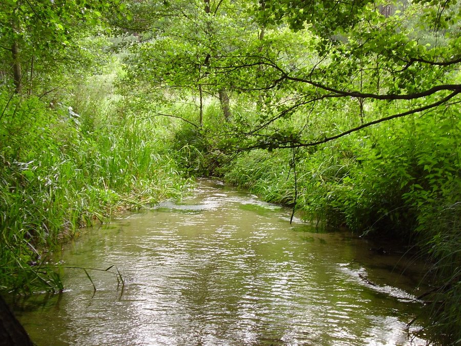 File:Sopot w Majdanie.JPG
