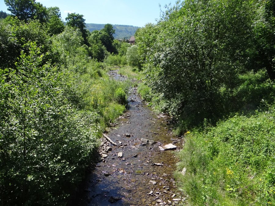 File:Ponikiew 2BMa6.jpg