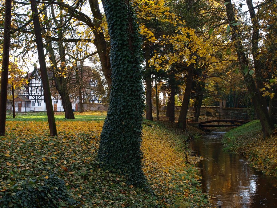 File:Iłowa zespół pałacowy, XVII-XX, park, nr rej. 3227 z 30.12.1986.jpg