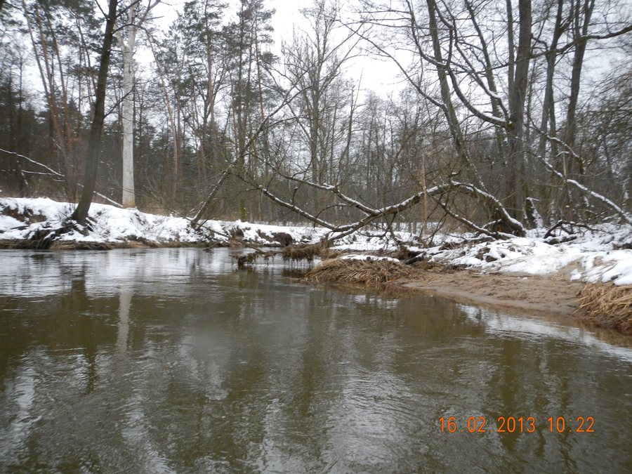 File:Gmina Wilga, Poland - panoramio (10).jpg