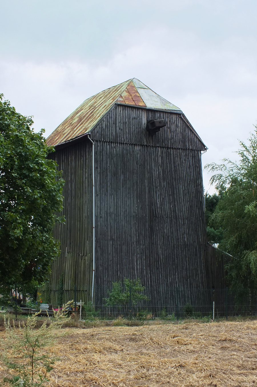 File:Orle wiatrak paltrak.jpg