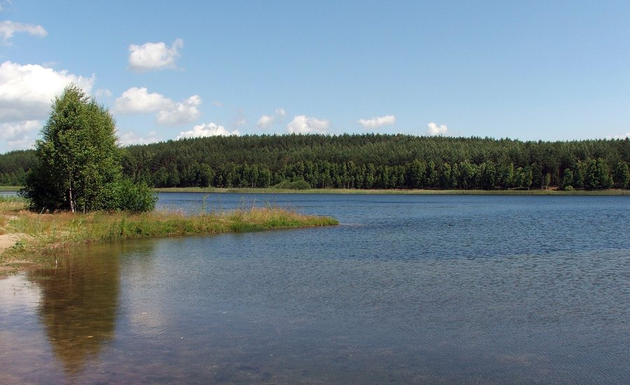 File:Jezioro Dymno.jpg