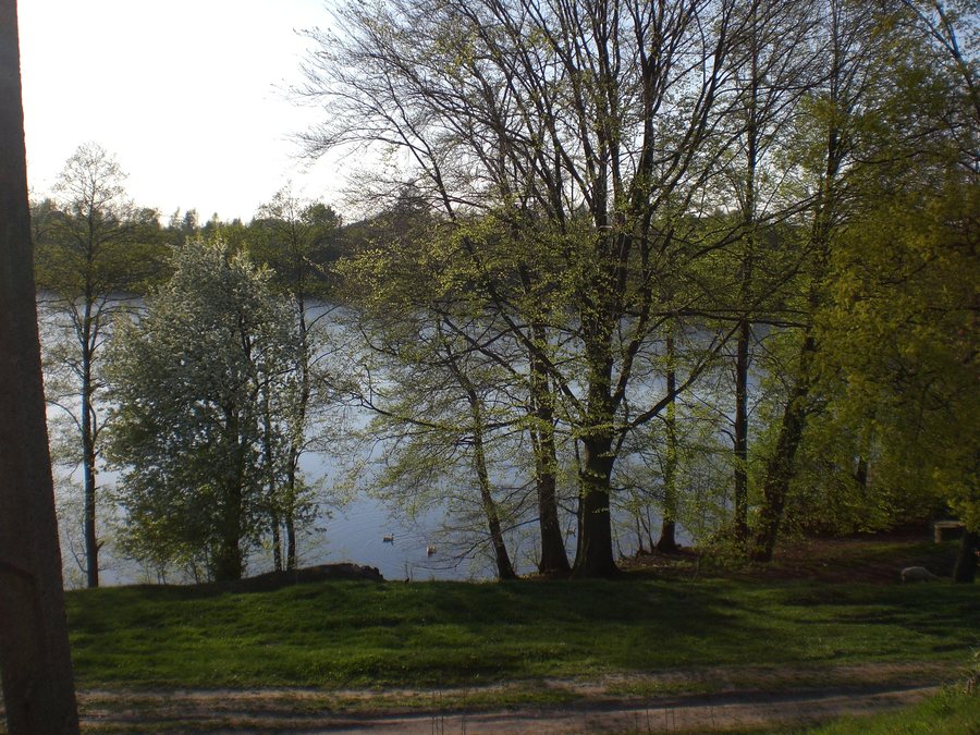 File:Puzdrowo - Jezioro Świniewo.jpg