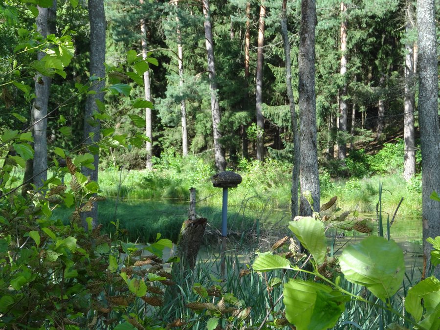 File:Dworczysko - panoramio (133).jpg