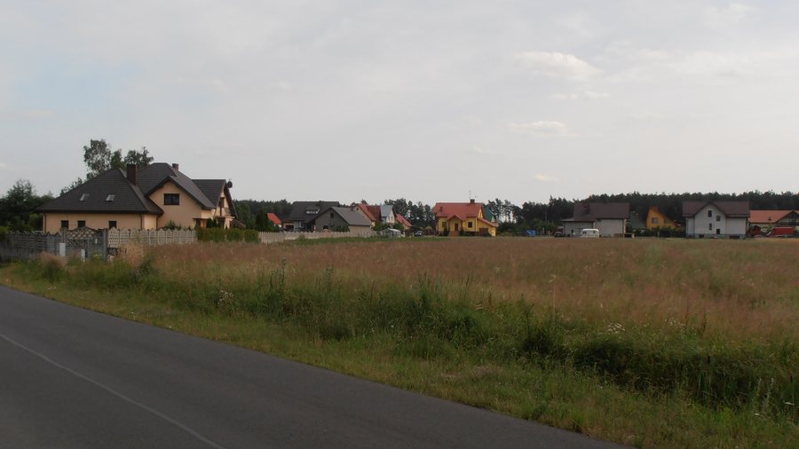 File:Czosnówka--140705R04.jpg
