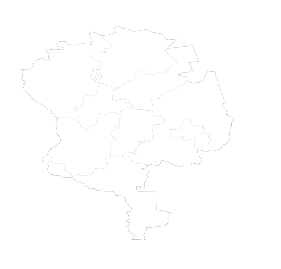 Map Żary County