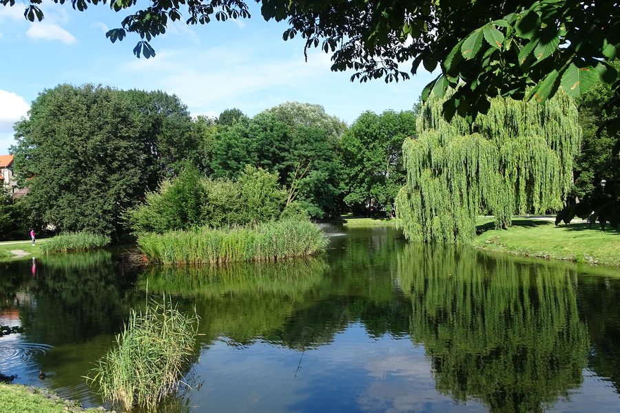 File:Park Miejski Lwówek Śląski RN2a.jpg