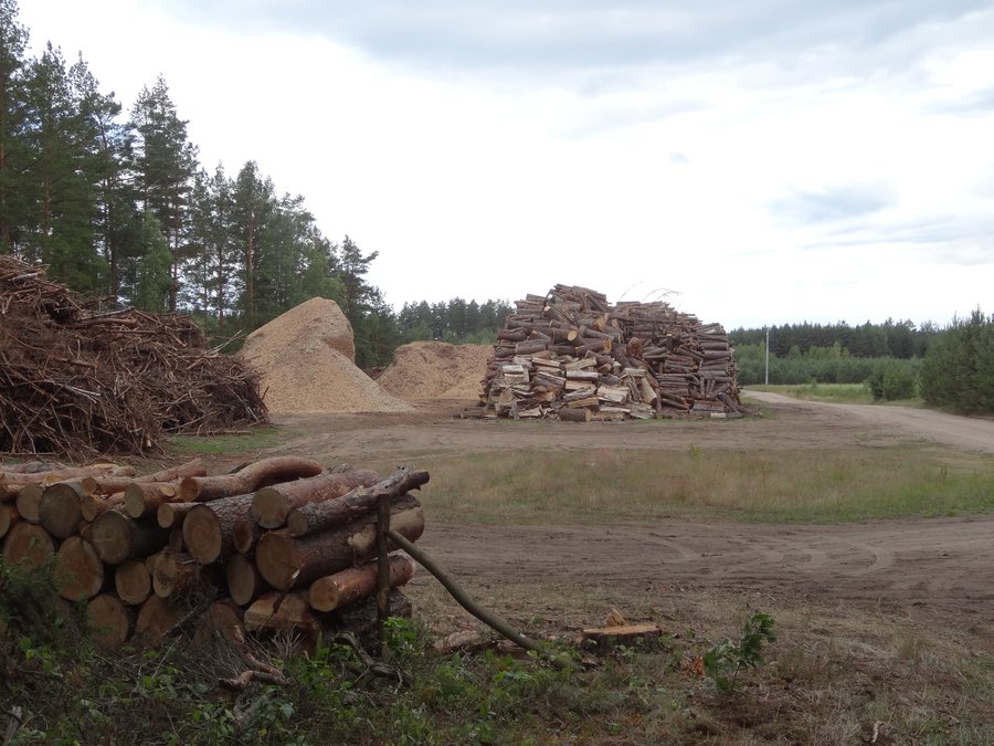 File:Frącki, tartak - panoramio (111).jpg