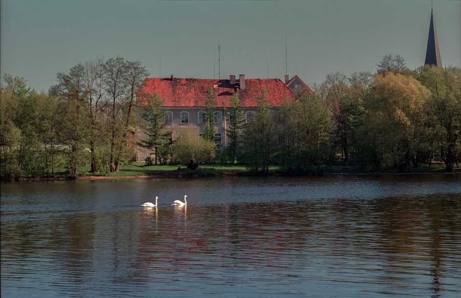 File:Szczecinek js.jpg