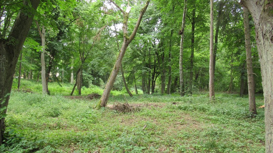 File:Połczyn-Zdrój ~22ouqmlp.jpg