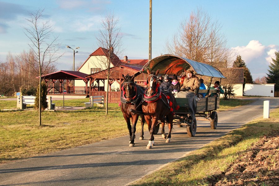 File:Wodzenie Niedźwiedzia- Przysiecz- 2018-0003-RIKiWK-MCD.jpg