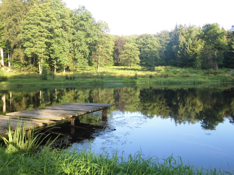Waldsee mit hölzernem Steg in Polen