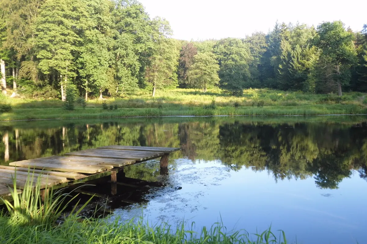 Natur in Niederschlesien